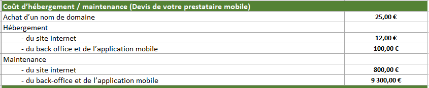 maintenance-hebergement-cout-projet-application-mobile