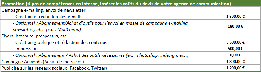 promotion-projet-application-mobile-budget-cout