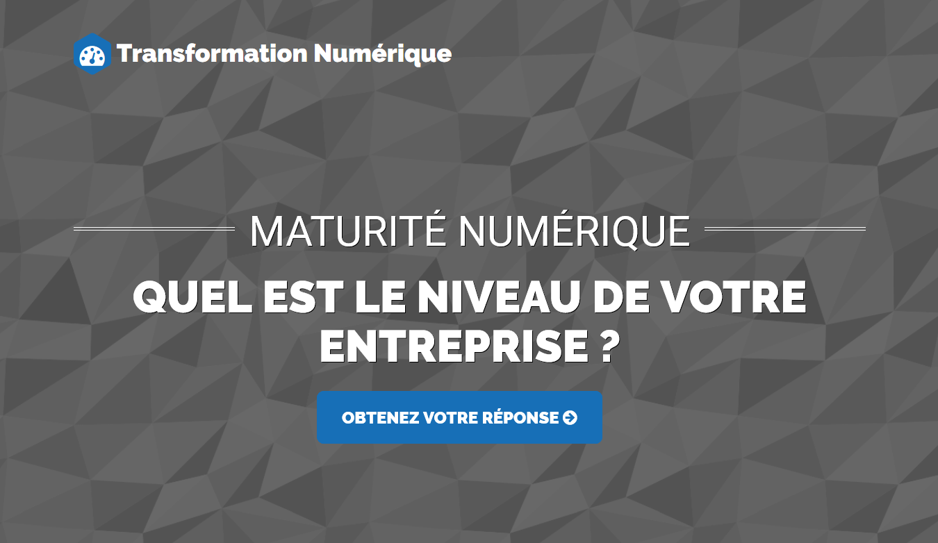 transformation-numerique-maturite-niveau-entreprise