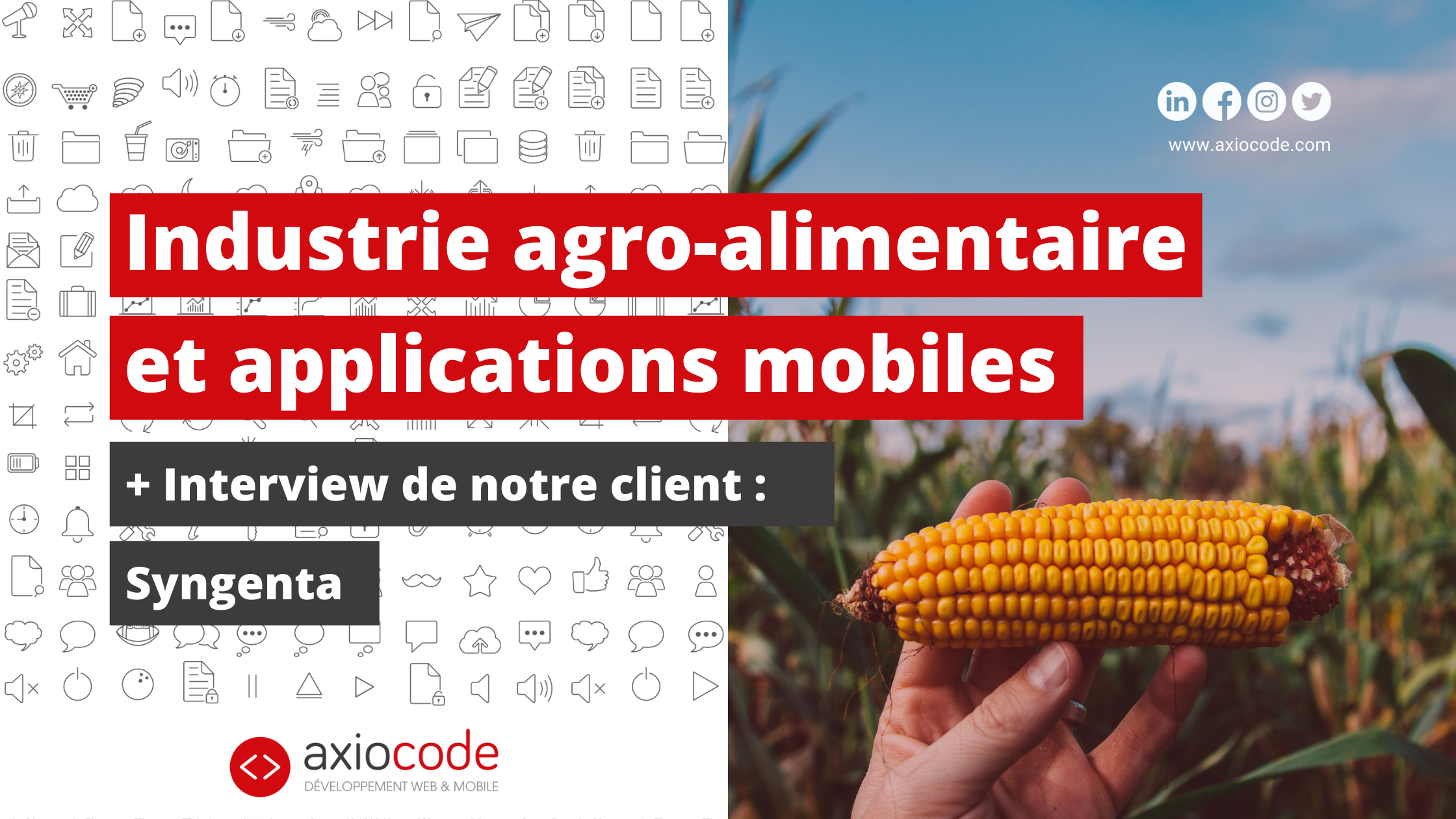 Mécanisation, numérisation, robotisation, L'industrie agroalimentaire se modernise. Les applications mobiles sont des solutions numériques au service de l'agriculture.
