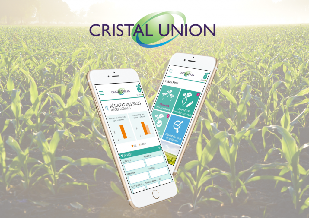 Cristal Field App Cas d'étude
